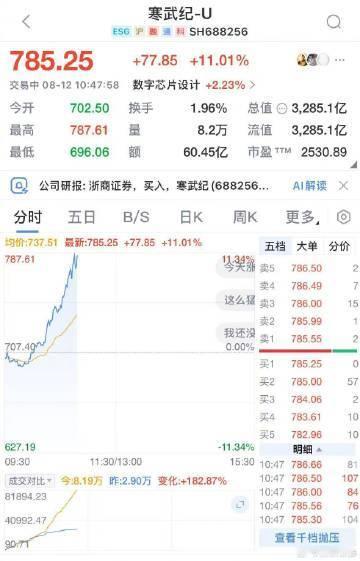 【芯片股震荡反弹 A股寒武纪涨超10%】A股芯片股震荡反弹 8月12日，芯片股盘