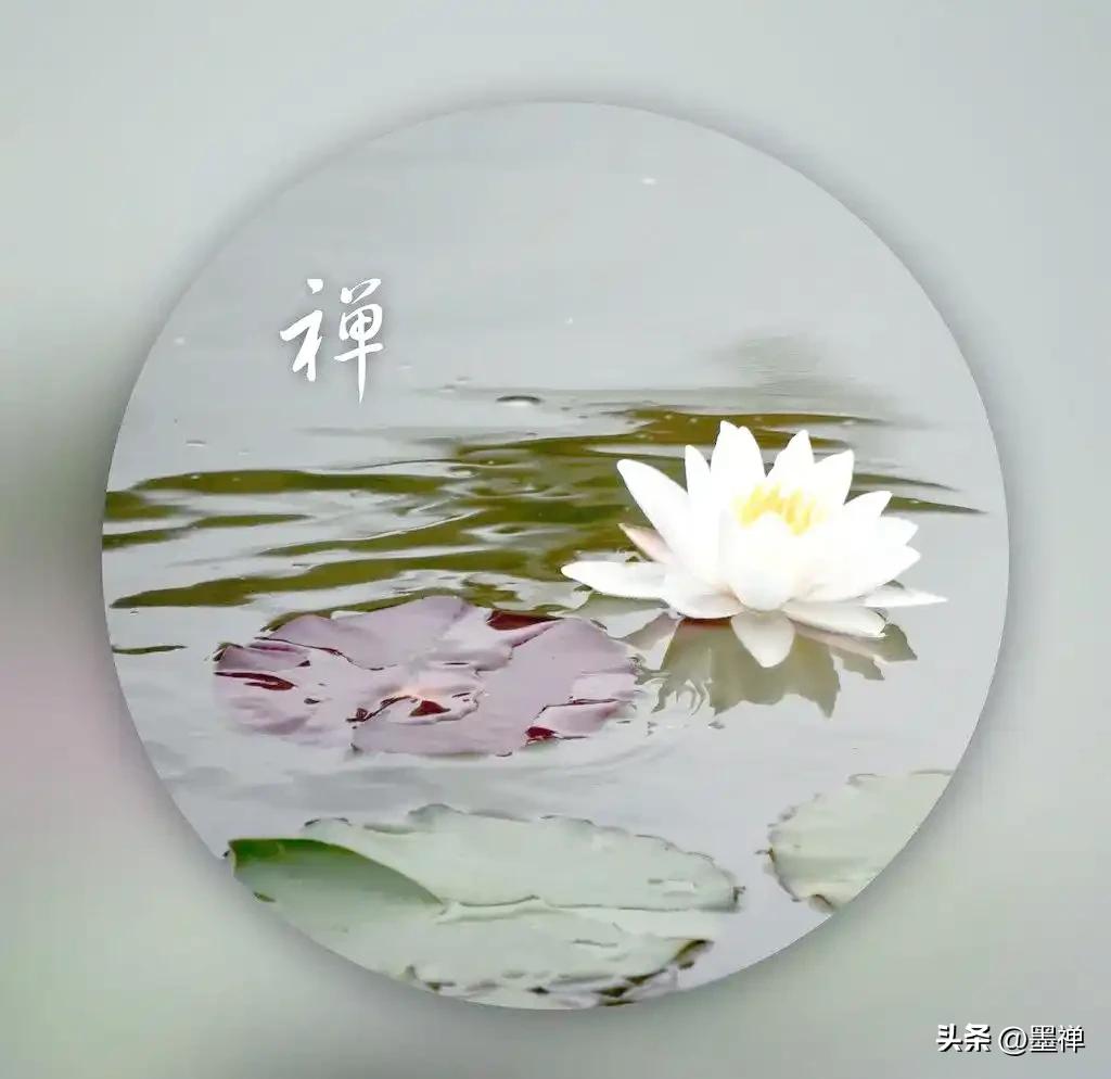 普通人的顶级圆满清单：

1、手机里存着3个能半夜拨通的电话
2、有一笔能随时辞