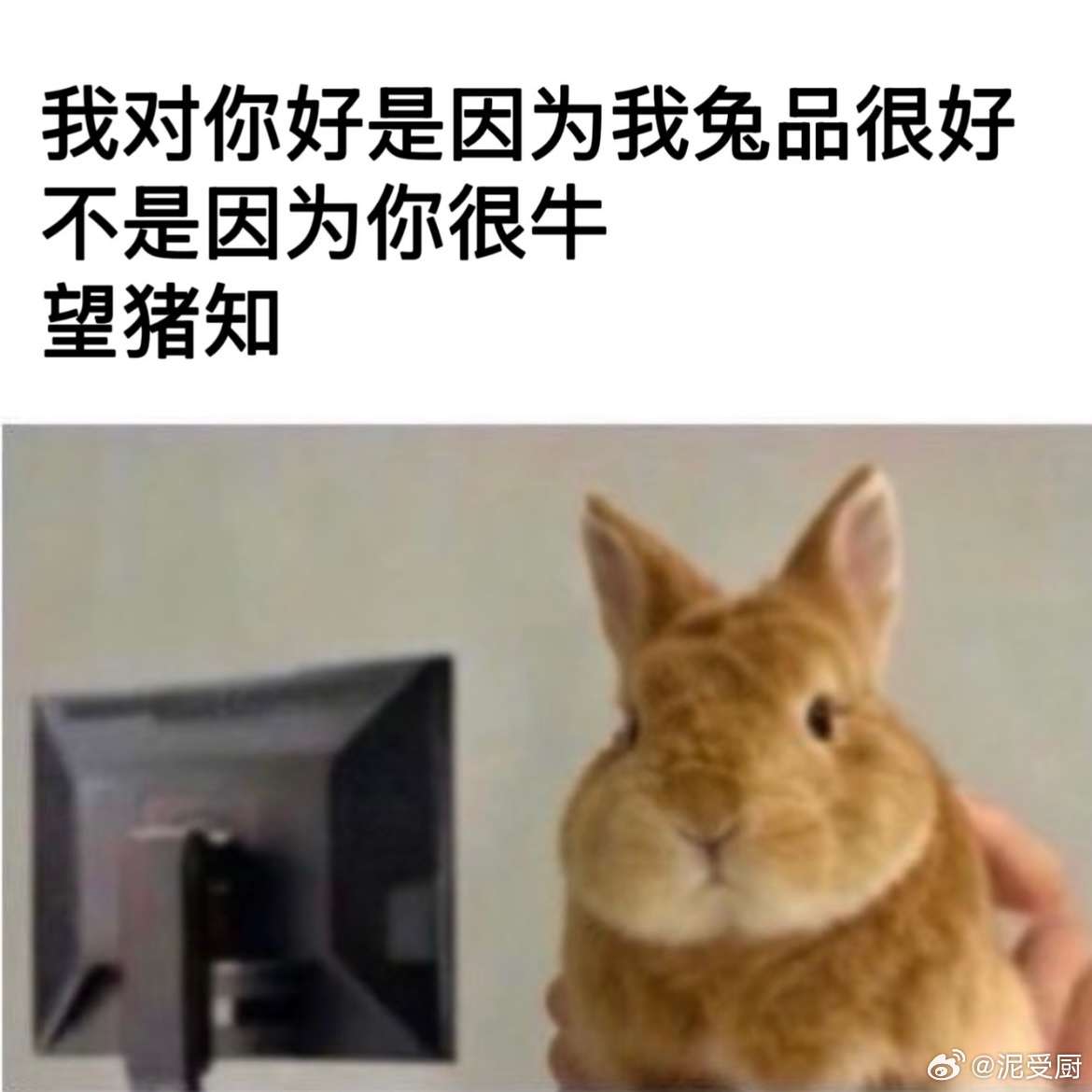 16028受概念 望猪知！ 