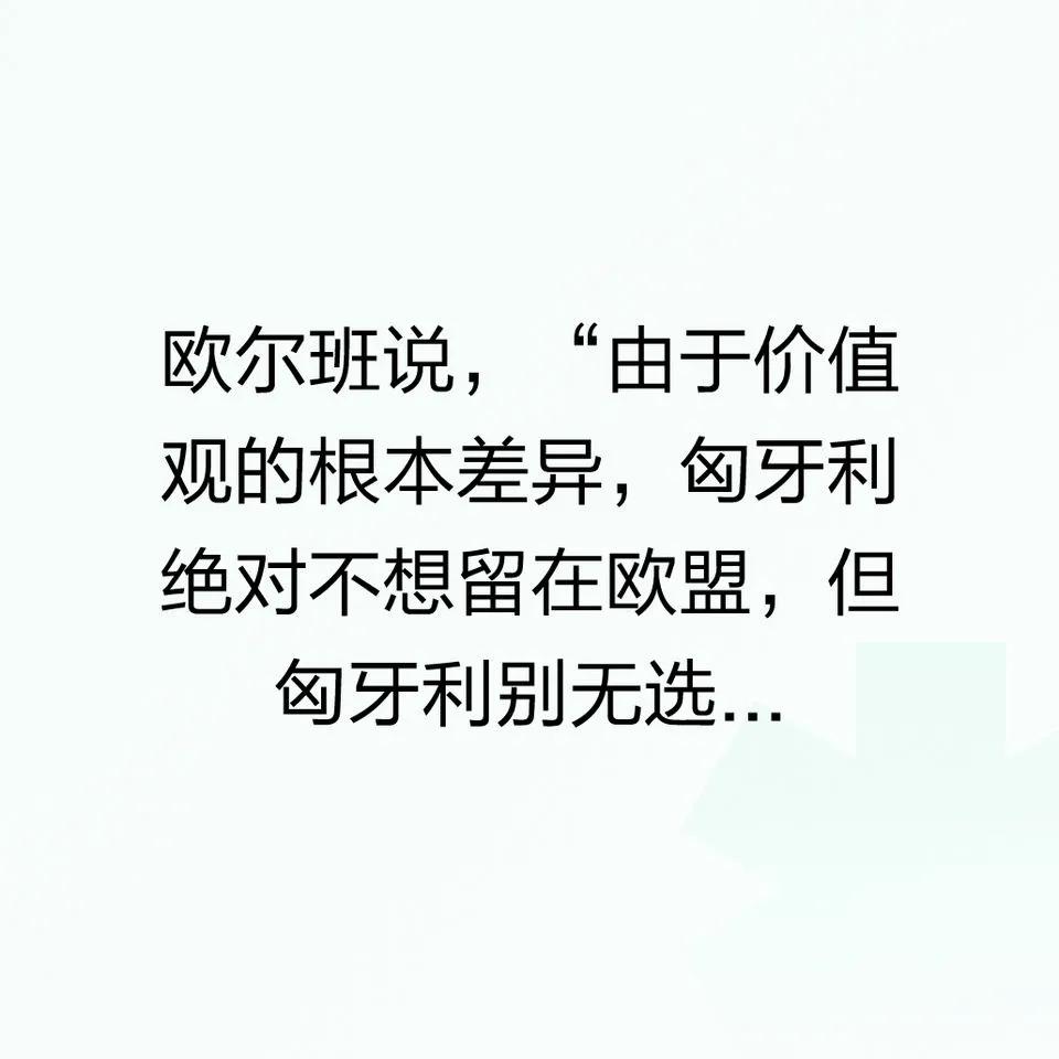 这种话一看就知道是最拙劣的谣言，我不相信一国总理水平如此之低。匈牙利价值观和欧洲