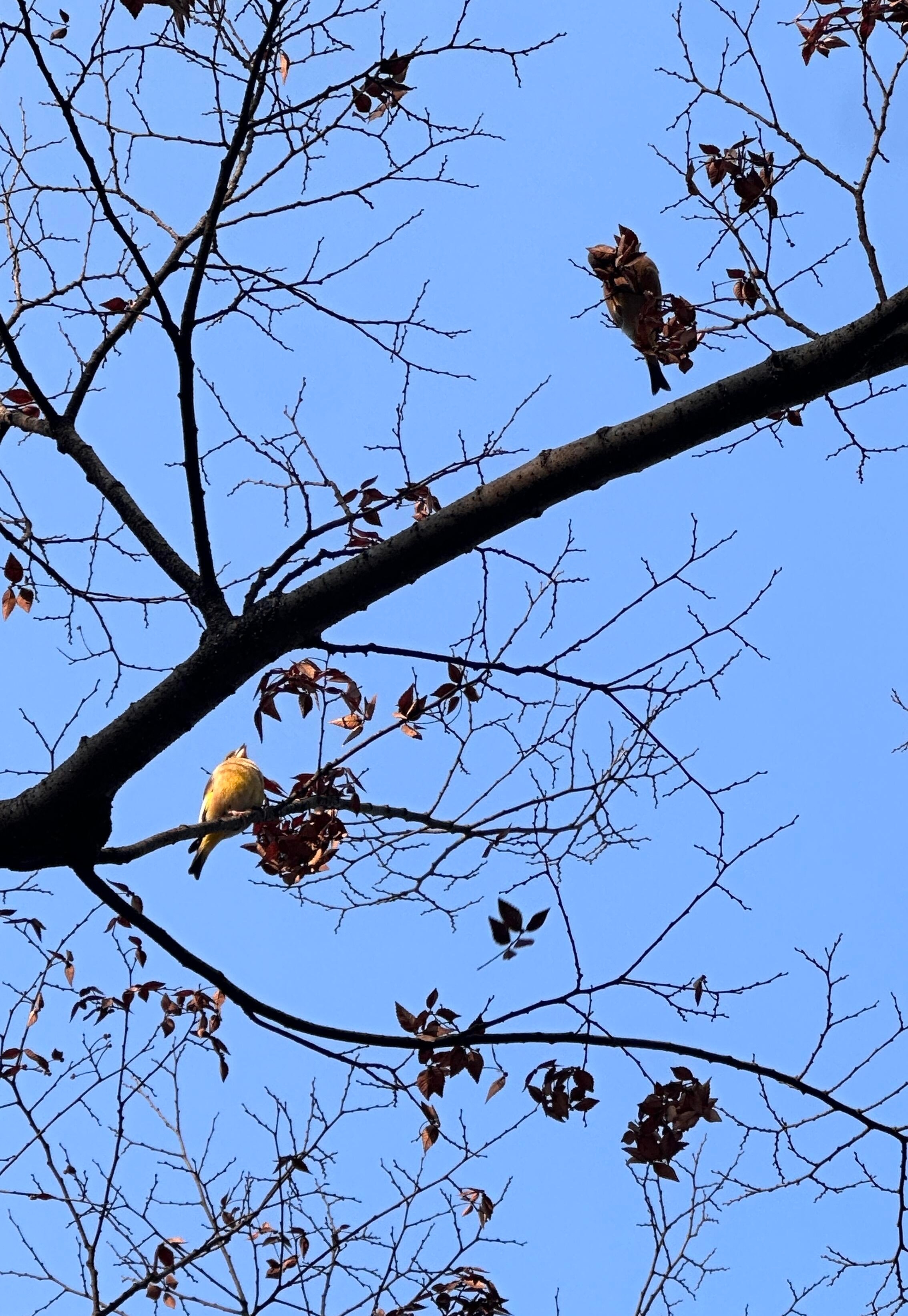 ✄✂︎快乐小片段🎞人类是自己幸福的设计者 