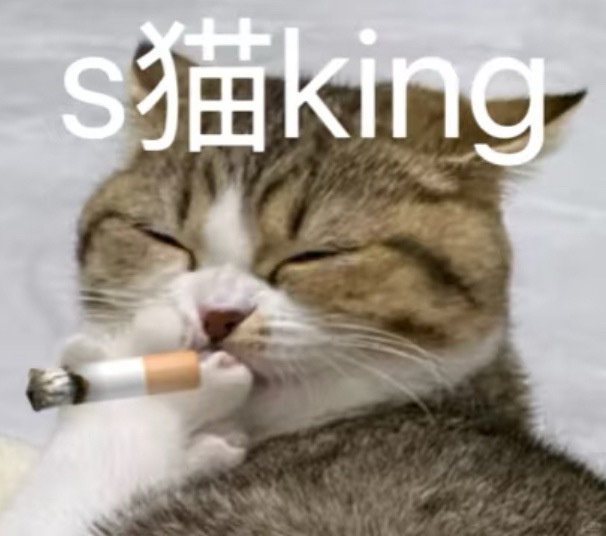 我走在斑马线上，来往车辆纷纷为我让行，因为我脚踏黑白两道。 ​​​