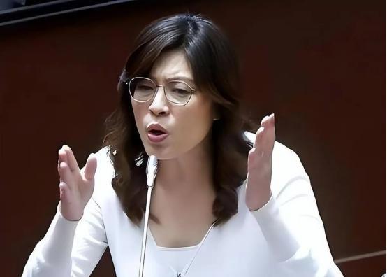 台湾蓝营终于摊牌了！郑丽文公开拒绝“一国两制”，不再模糊回避。这记重拳打向何方？