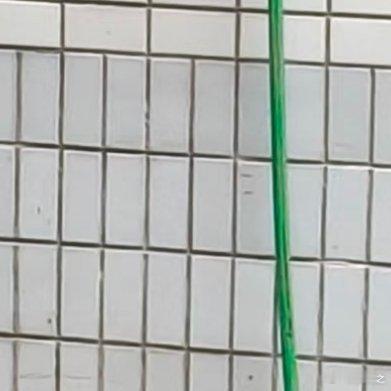 咪的屁股翘到可以顶起一个大橘 