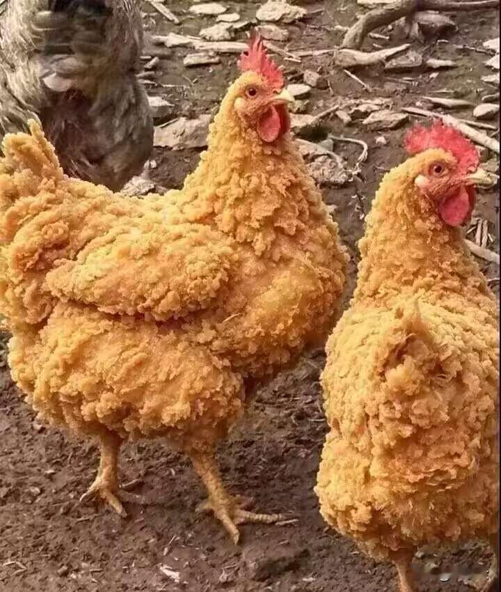 看了一个大瓜！一个兄弟喊了多年的老爸竟然不是他亲爹，兄弟很崩溃，追问老爹谁是自己