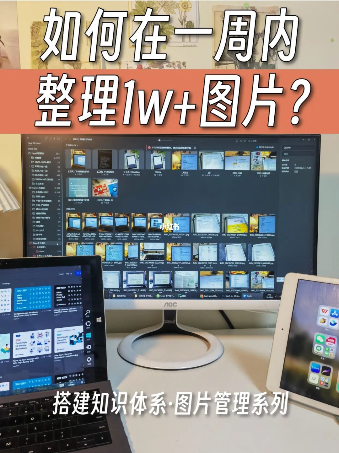 无痛整理1w+照片🔥这套图片管理SOP超实用
