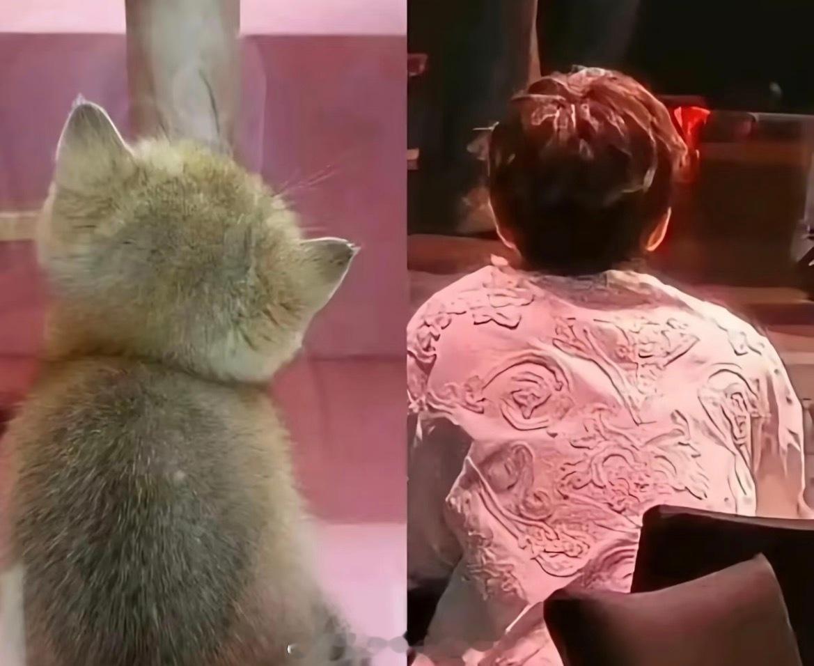 猫塑被带节奏改兔塑的本质是符号主权争夺战。危害不仅在于形象错位，更在于：🥝艺人