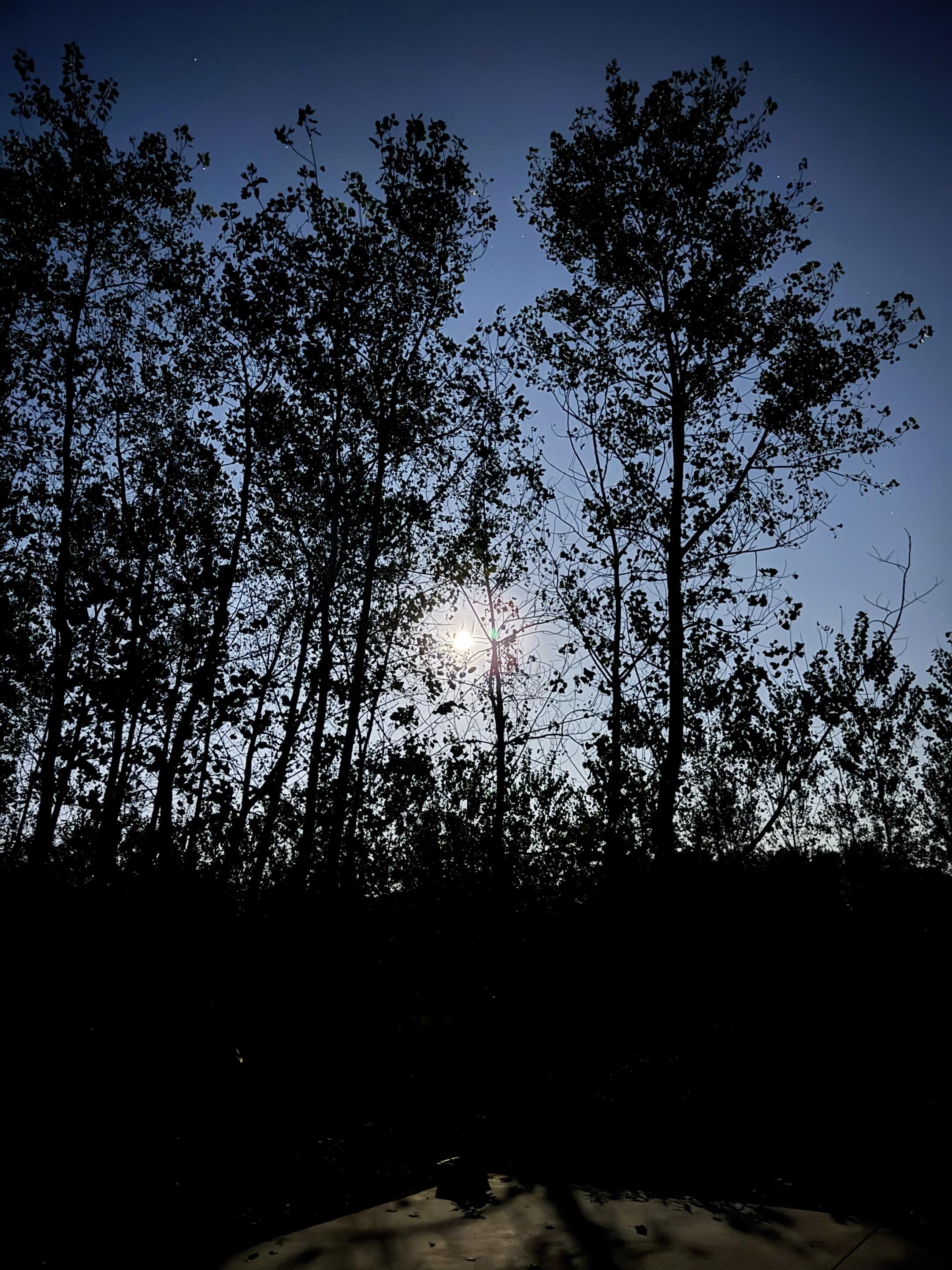 明月皎皎寄相思，愿逐月华流照君……