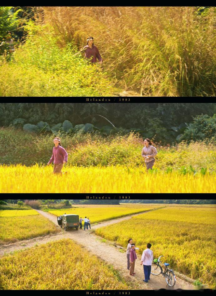 你好1983质感现在还能看到这么有质感的剧太难得！《你好 1983》色调温柔又高