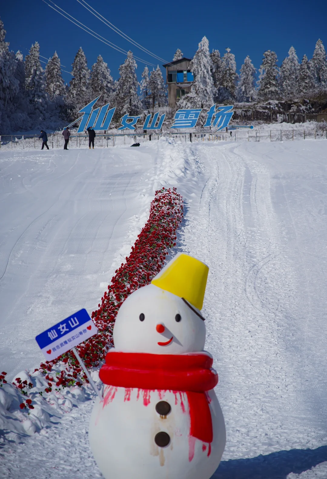 重庆旅行｜武隆仙女山耍雪全攻略
