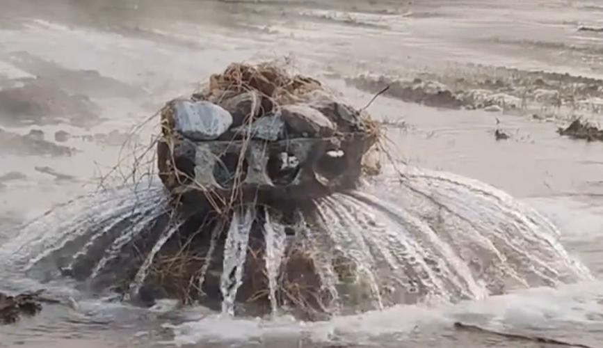 山东淄博这口闲置水井也太会“整活儿”了！1月6号早上，五路口村村民突然发现，农田