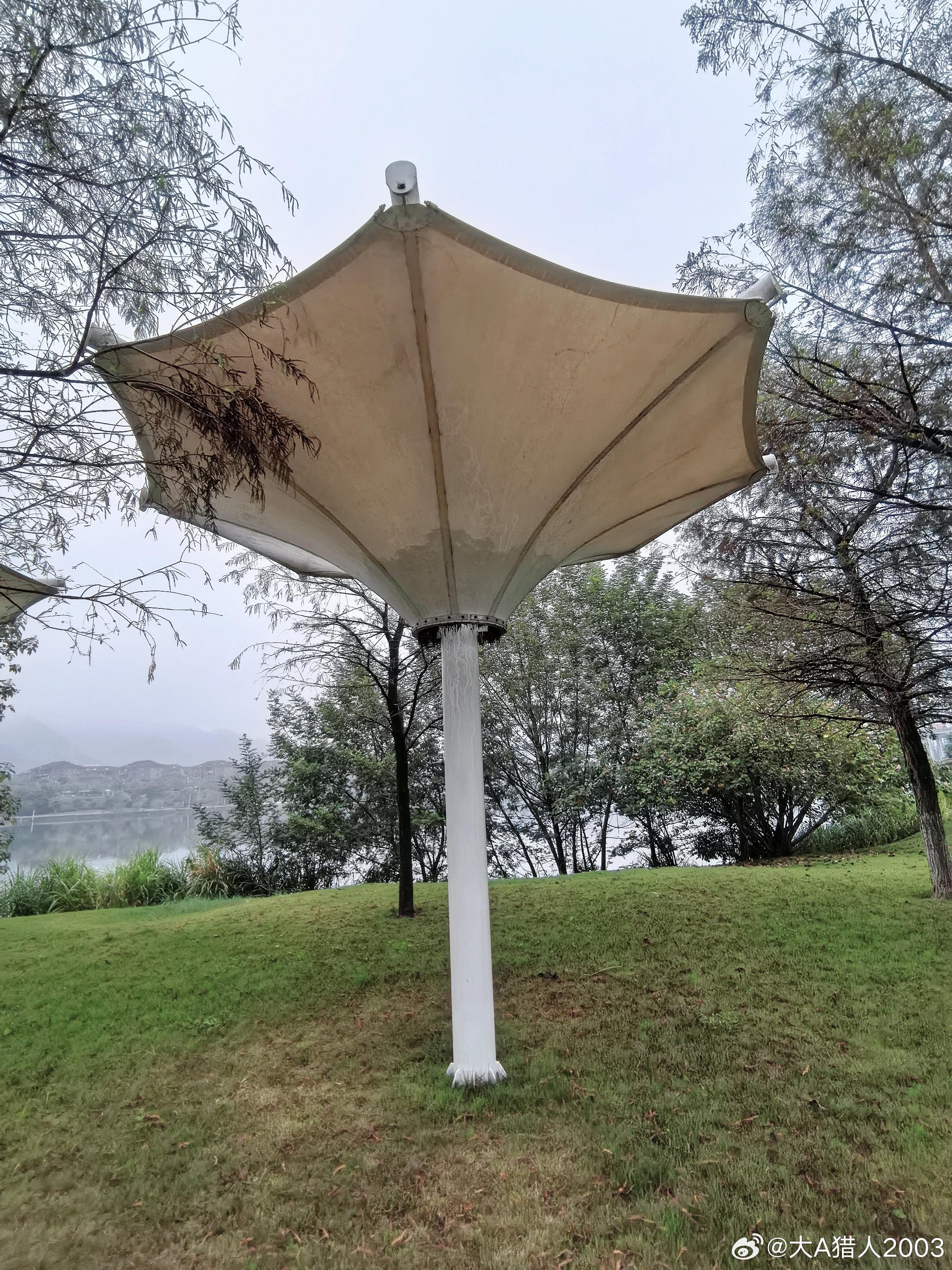 2025/11/11怎么做一个大A猎人什么时候扣动扳机，也就是怎么确定买点和卖点