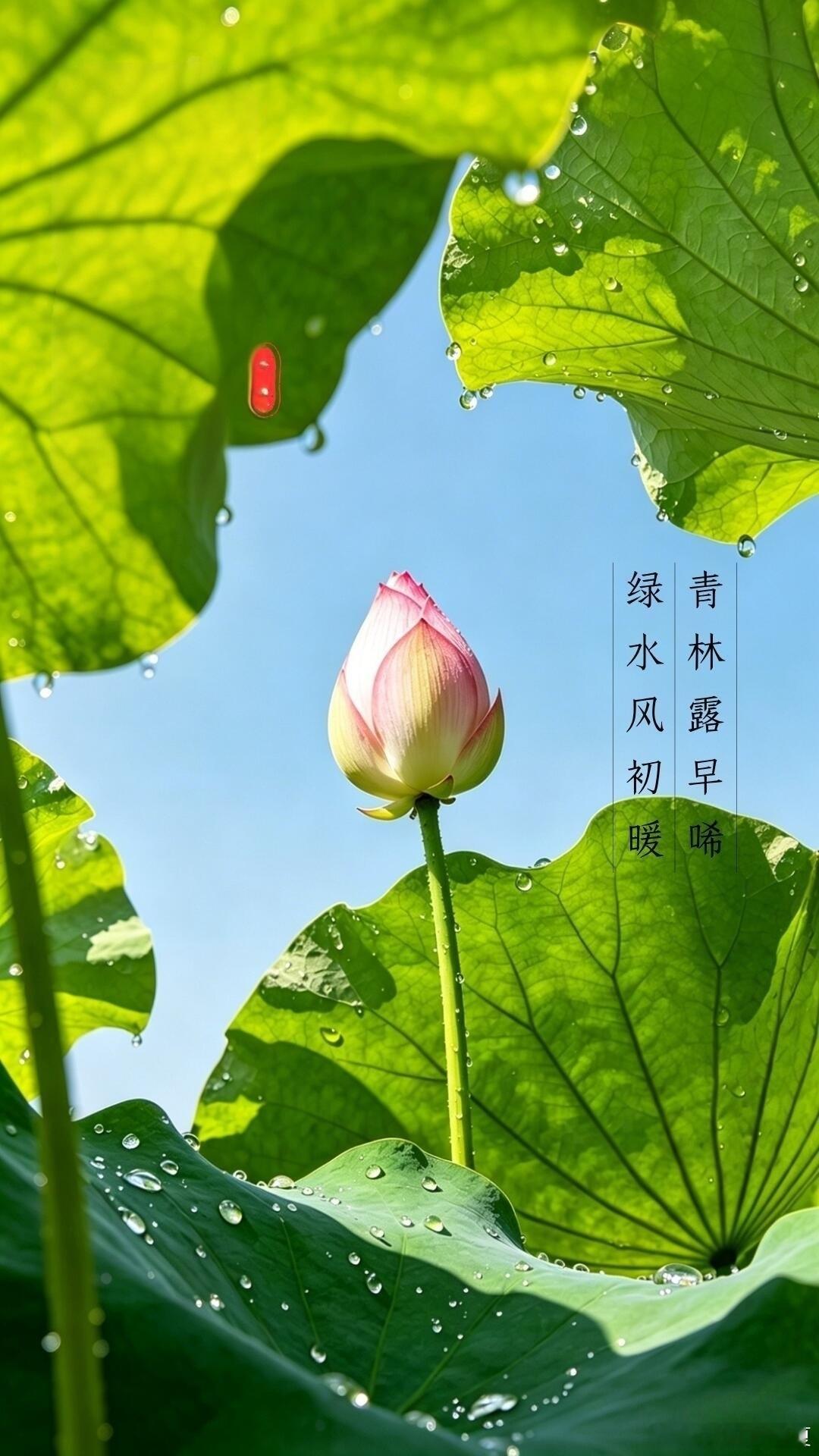 浪漫五月已抵达，有西瓜味的风和橘子色的晚霞～ 