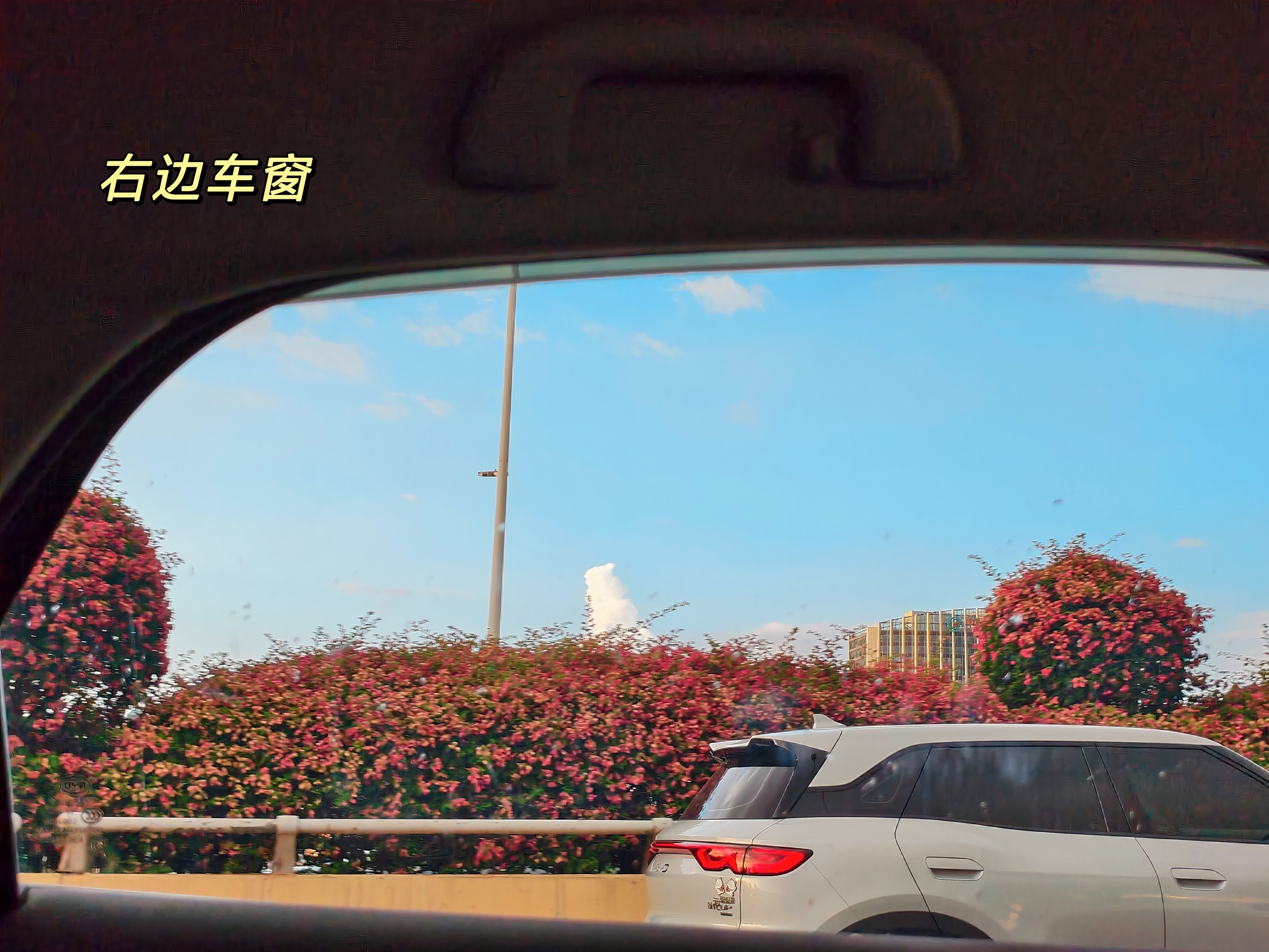 给大家介绍下这两天的天气有多割裂——刚刚下班同一时间左右窗外风景[卡皮巴拉] ​