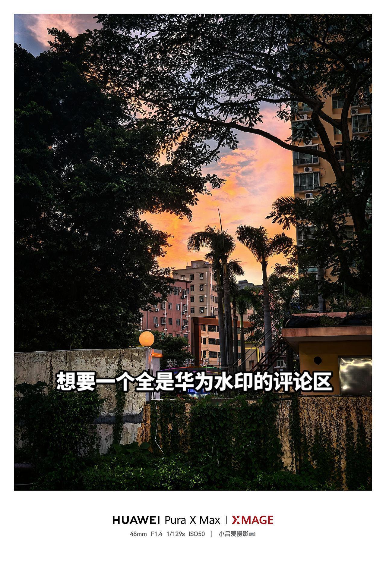 摄影风景都在路上红枫影像氛围感 华为PuraXMax