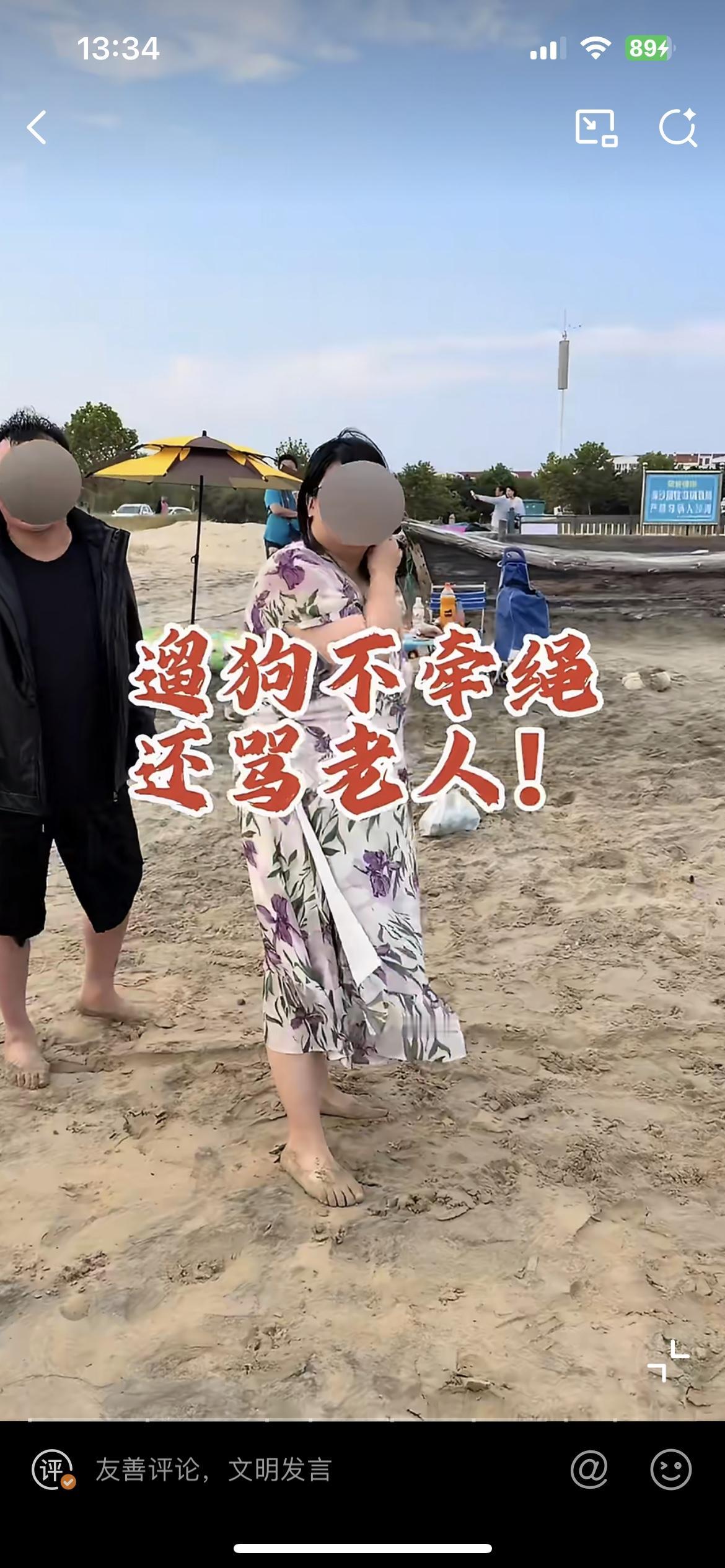 一家人海滩边遛狗不牵绳，还辱骂老人说他是狗，带孩子的中年大哥仗义执言指责这家人没