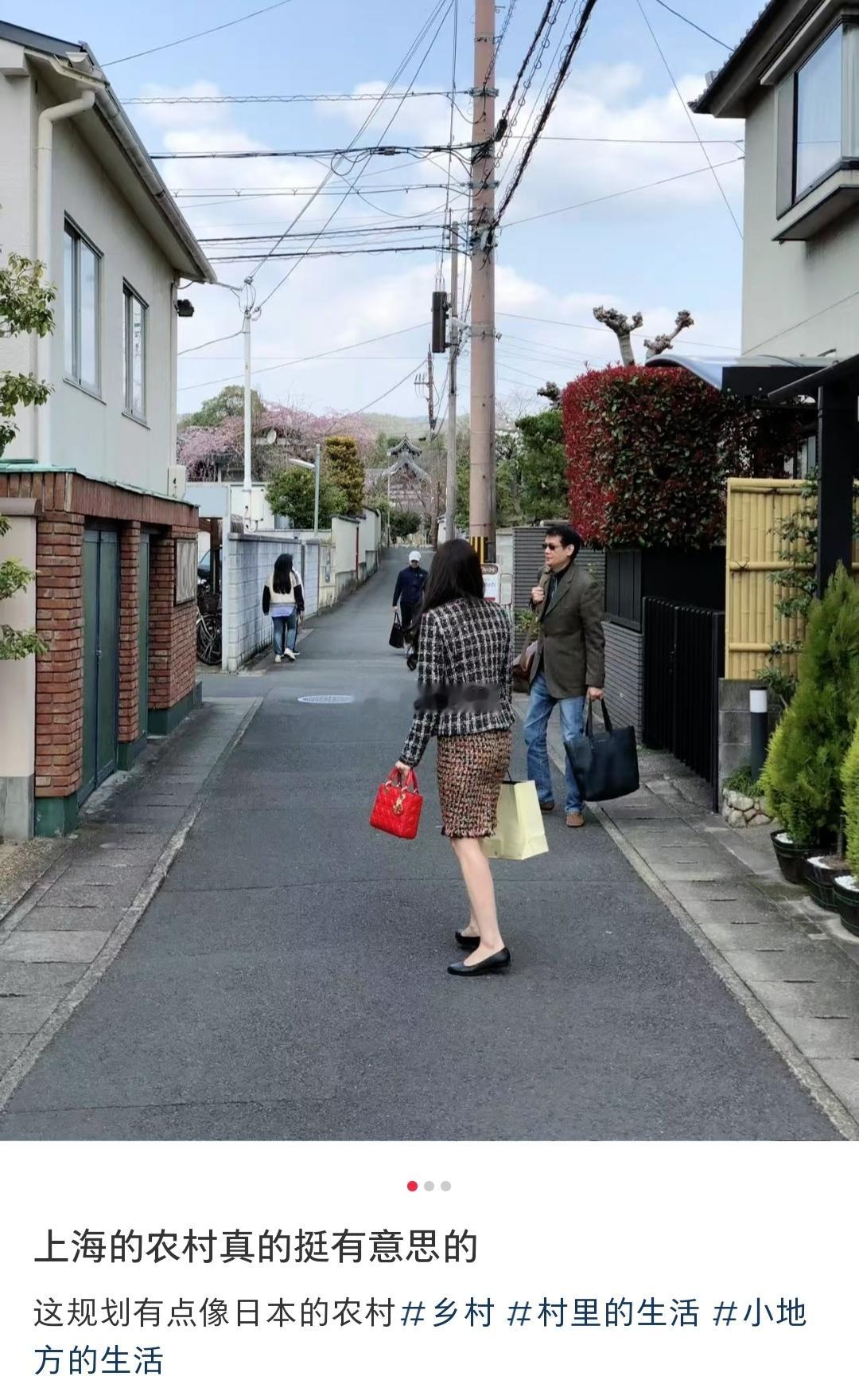 对比日本农村和上海农村，你觉得像吗？ 