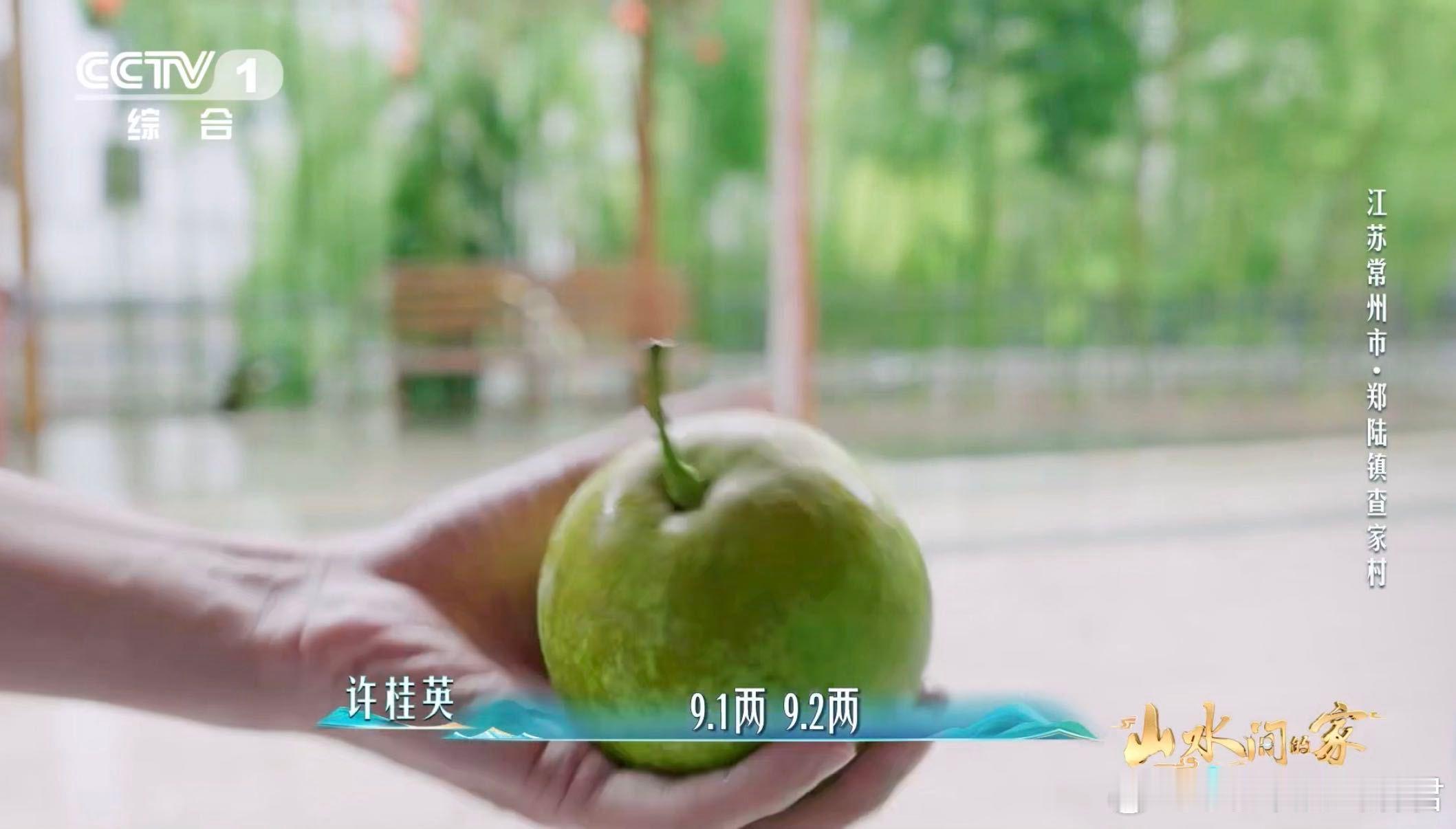果农手一掂就知梨重9两2哪个梨更甜看底部 中国人的生活智慧太绝！常州果农不用秤，