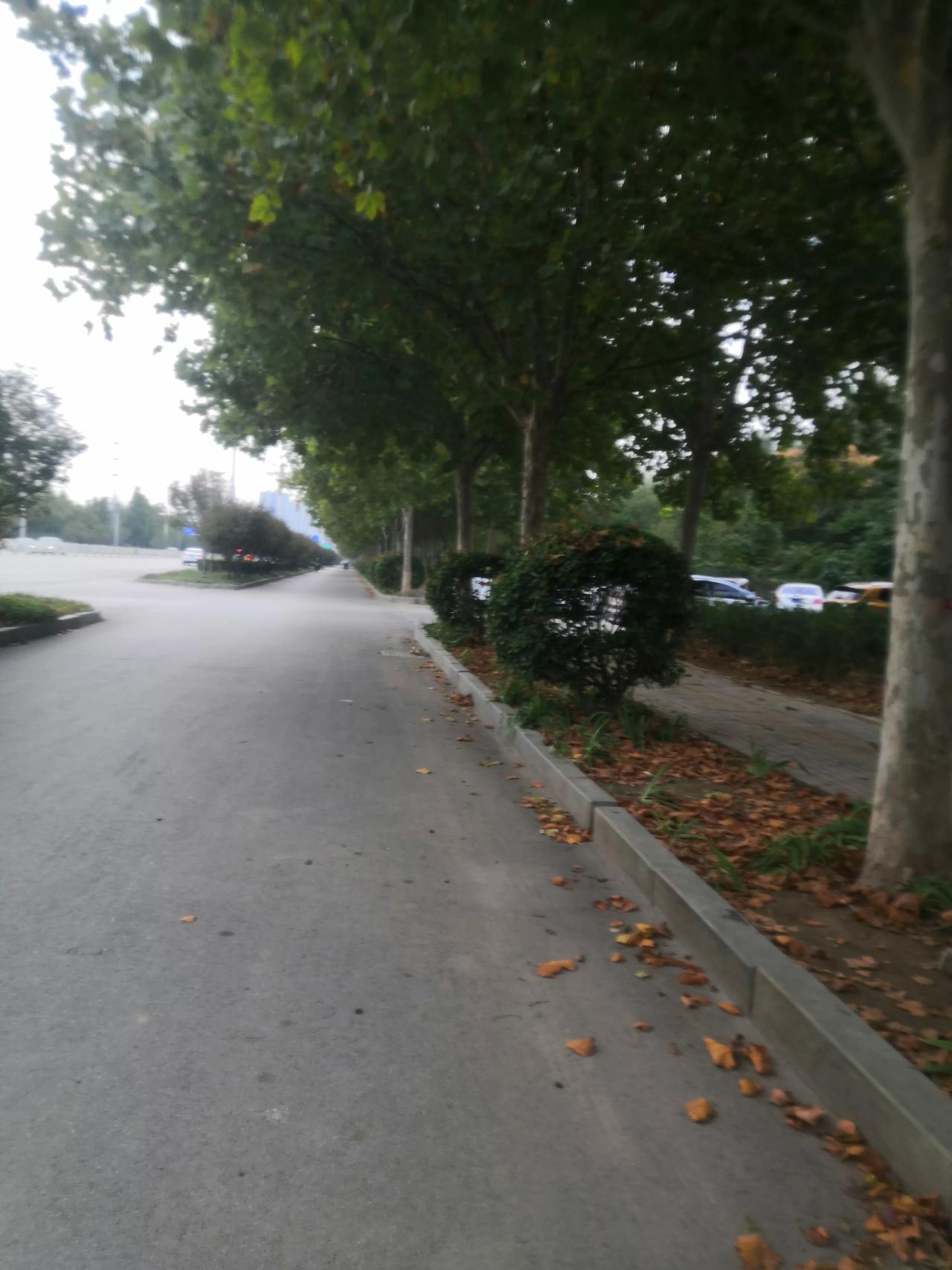 你的回应，是对我最大的肯定，你的无情，让我成长了很多，所有的付出无憾