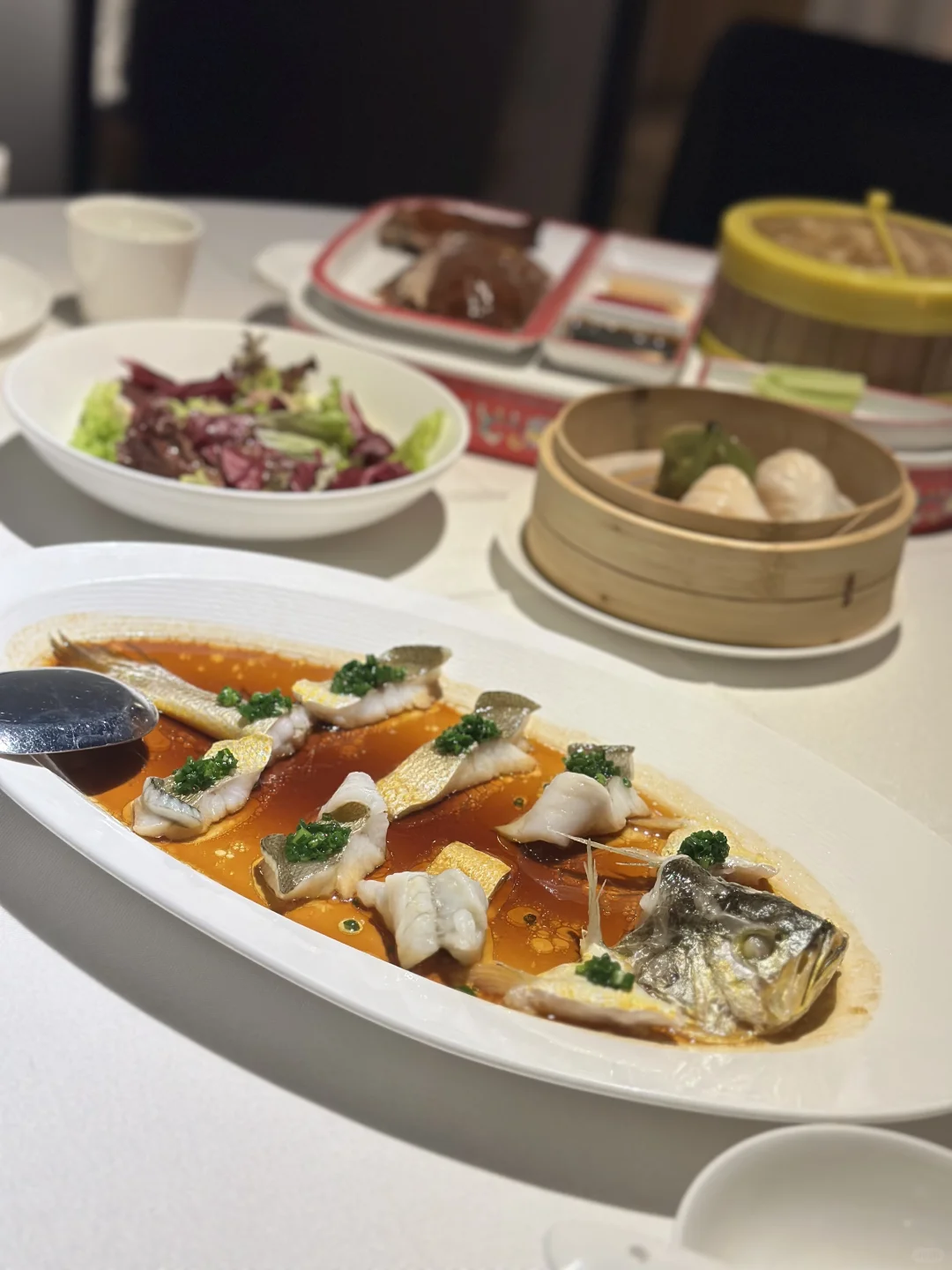 上海探店✨最近爱上的宝藏餐厅🍴