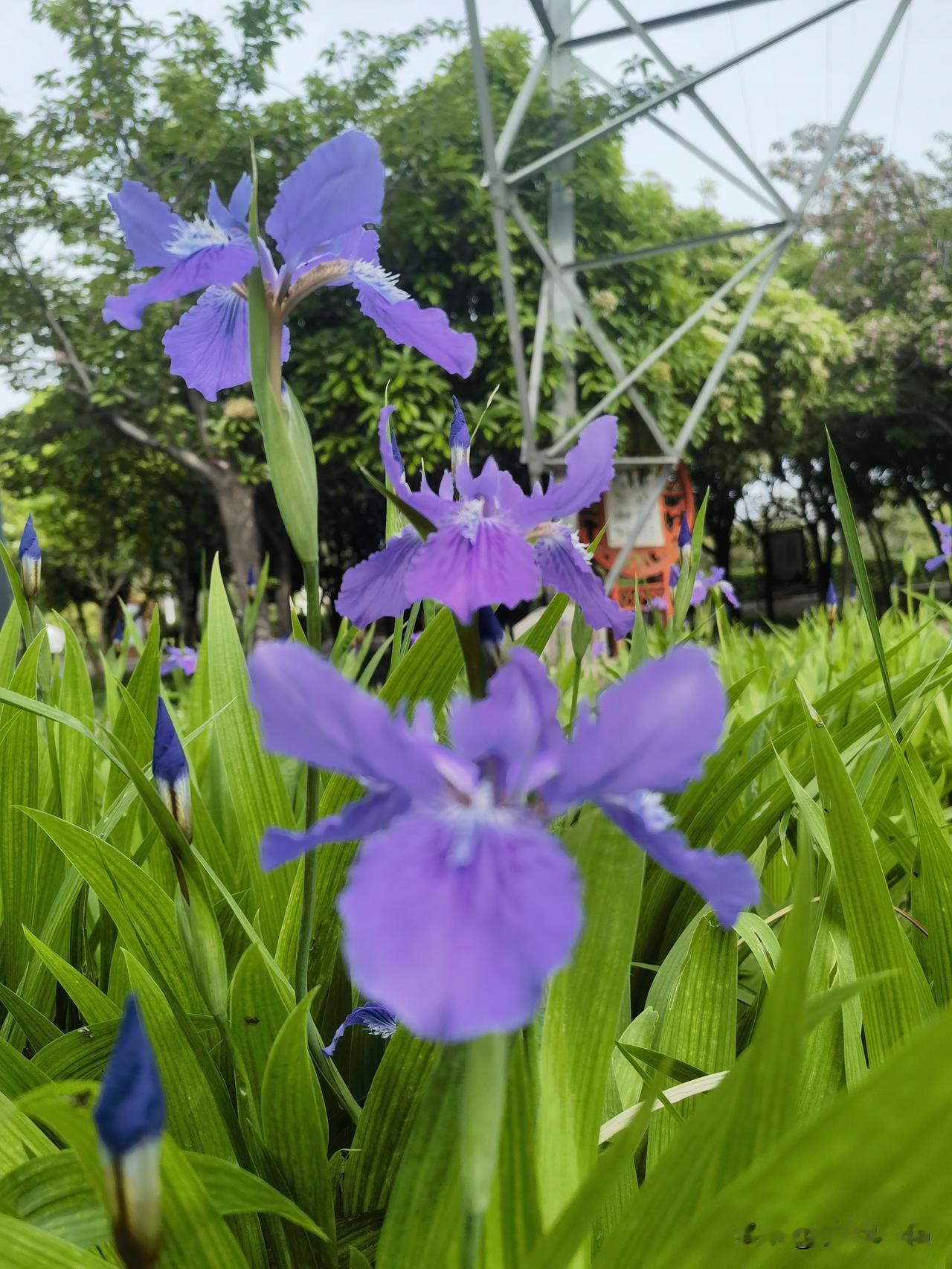 今年春天最想实现的心愿春风送暖，万物复苏。愿你在新的一年里，如春日般充满生机与活