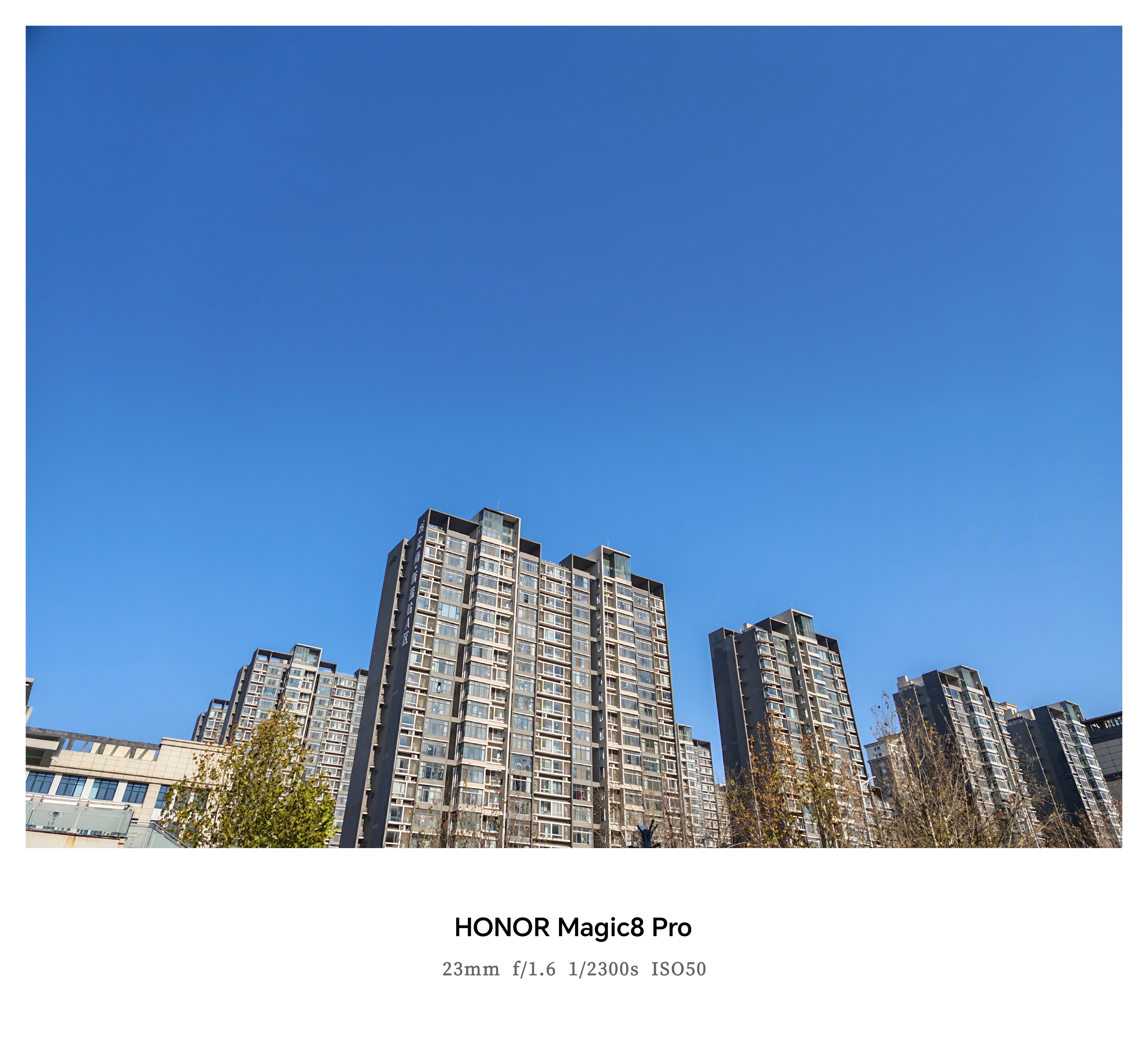 下完雪后，天一晴就特适合出来溜达。 