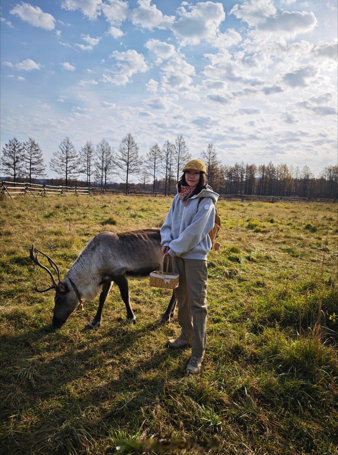 林深时见鹿🦌在额尔古纳河右岸，做一天森林的女儿。额尔古纳河右岸森林生活手记新星