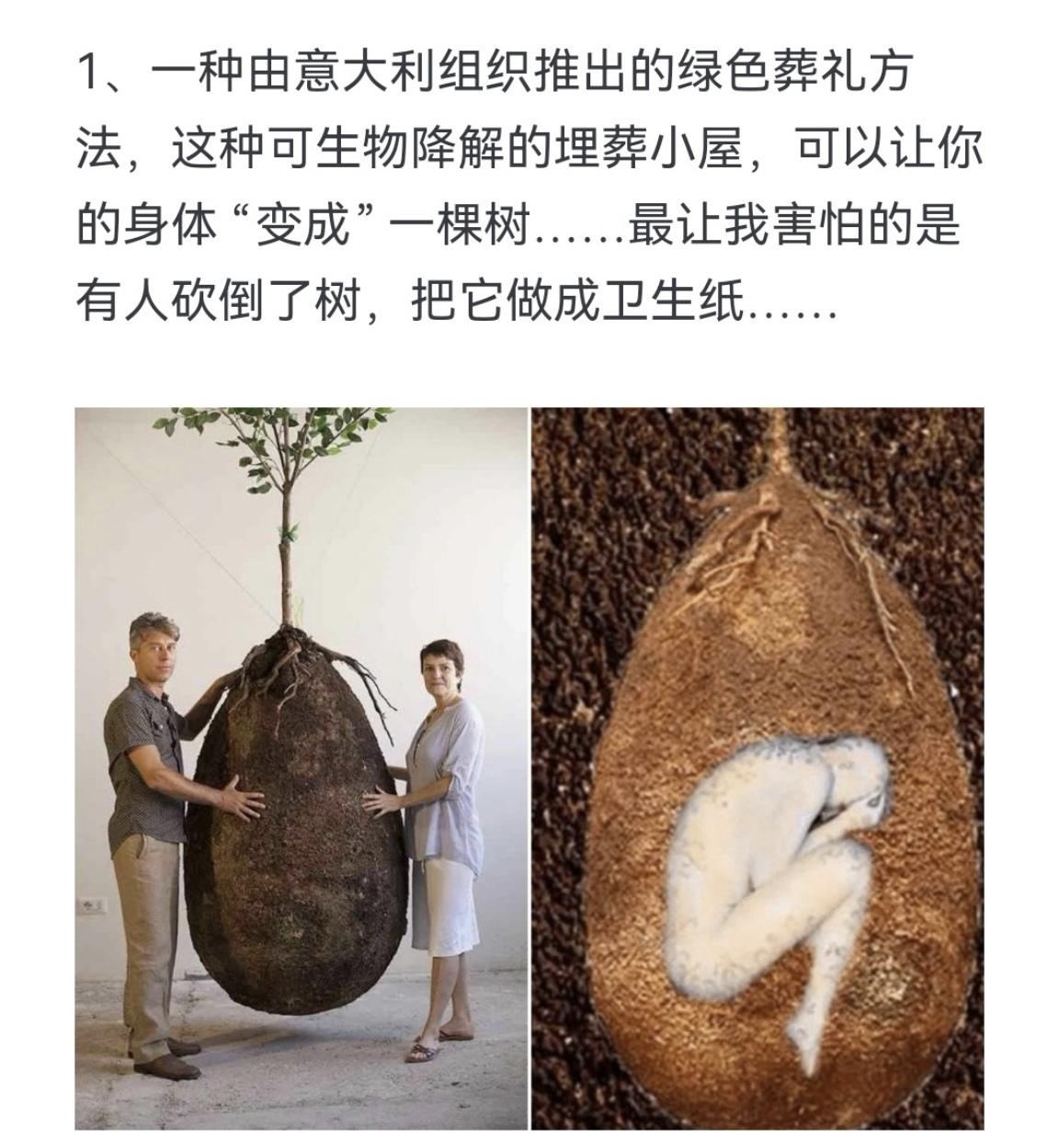一种由意大利组织推出的绿色葬礼方法，这种可生物降解的埋葬小屋，可以让你...