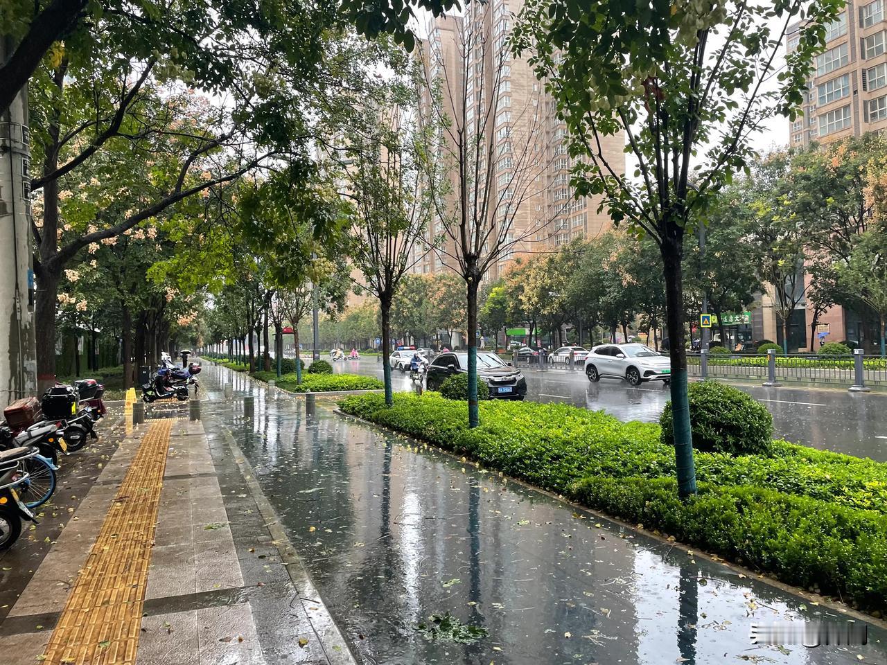 【七律•秋风乍起变天凉】
秋风乍起变天凉，欲把千山叶染黄。
静坐庭前思往事，闲偷