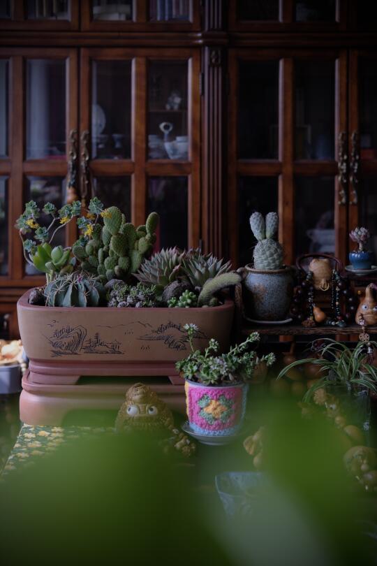 越来越喜欢 与日子相互滋养后的顺其自然