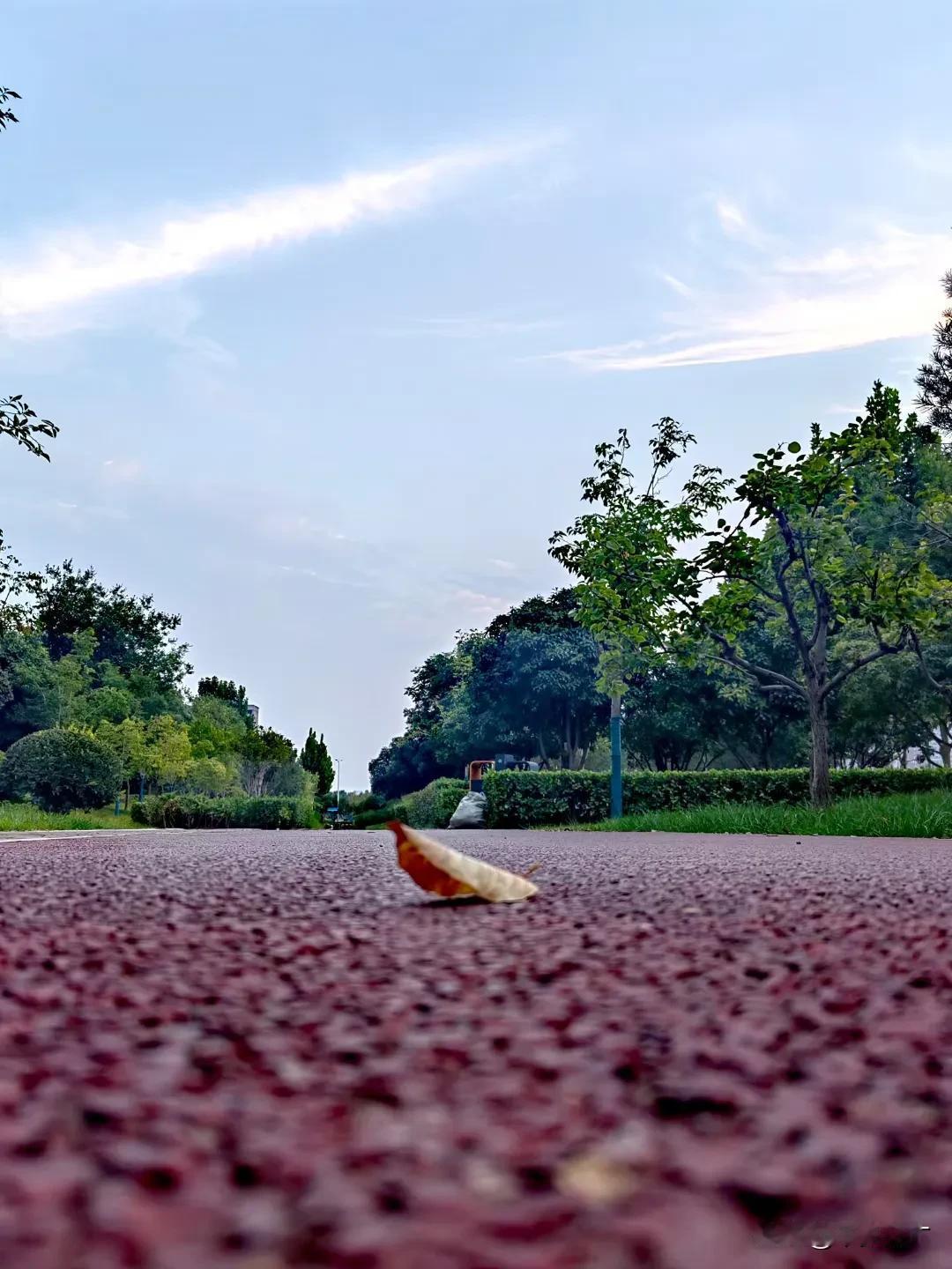换季机票价格大跳水，跌至1折！

据报道，数据显示，近日一些平时动辄上千元的机票