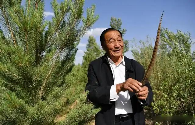 1998年，石光银种下的6万亩林场被纳入生态林场，禁止砍伐，这样一来，石光银手握