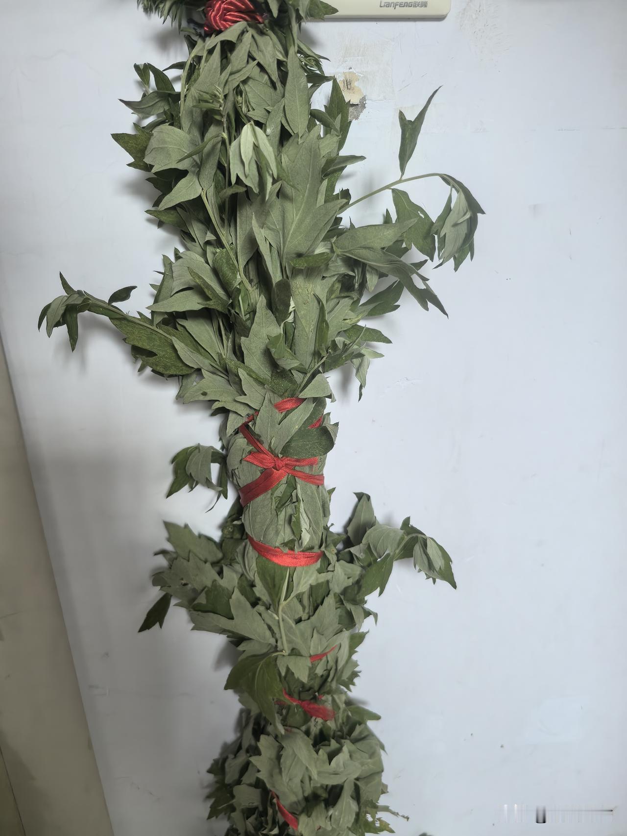 浣溪沙·端午悬艾
               符进朝
门畔青青束艾香，端阳高挂