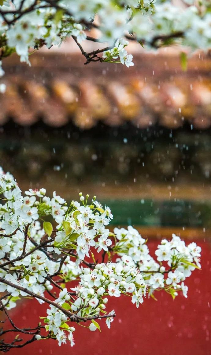 春雨春烟锁翠芜

春雨
作者：莲花书院，辽宁葫芦岛人

桃花轻薄柳依依，半掩山邨