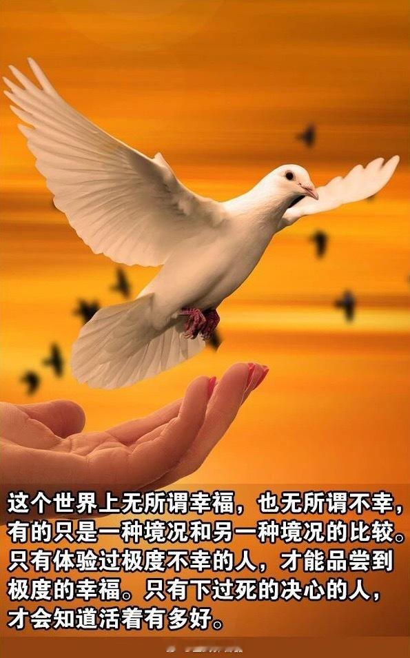 早[鲜花][鲜花][鲜花] ​​​