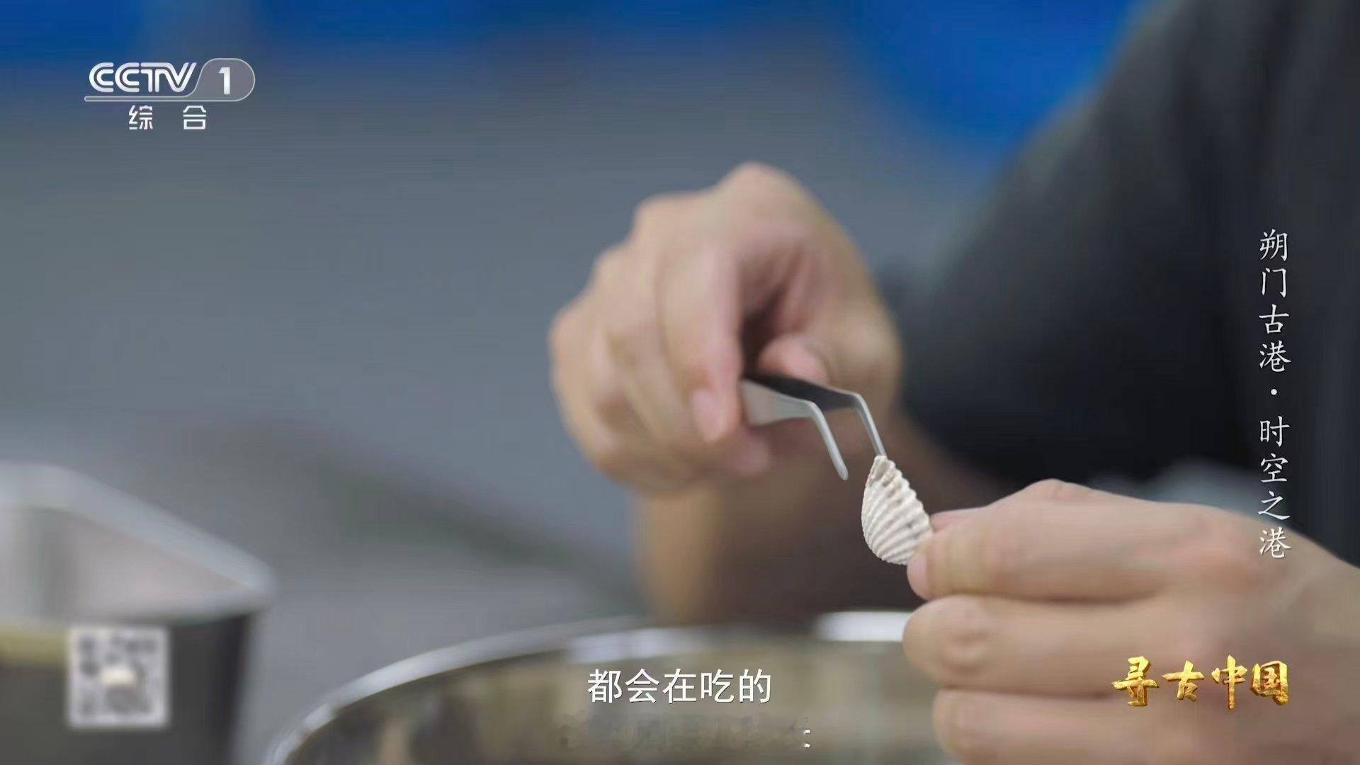 古人也吃雪蛤温州一千多年前就流行嗦螺了 古人有多会吃？温州朔门古港告诉你：一千年