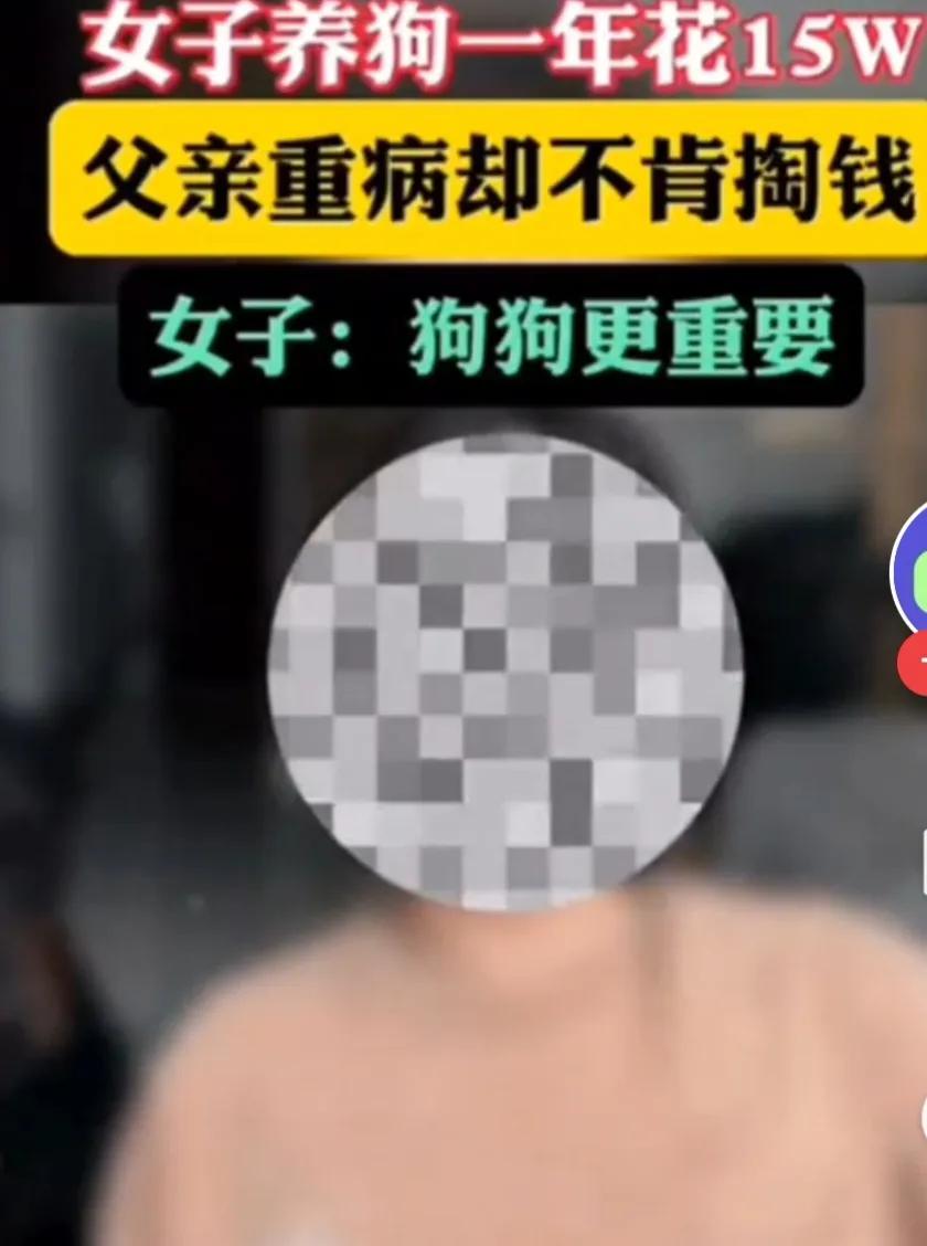 视频中一个女子说一年多的时间了，自己把15w的钱都用在了自己养的宠物狗身上，没有