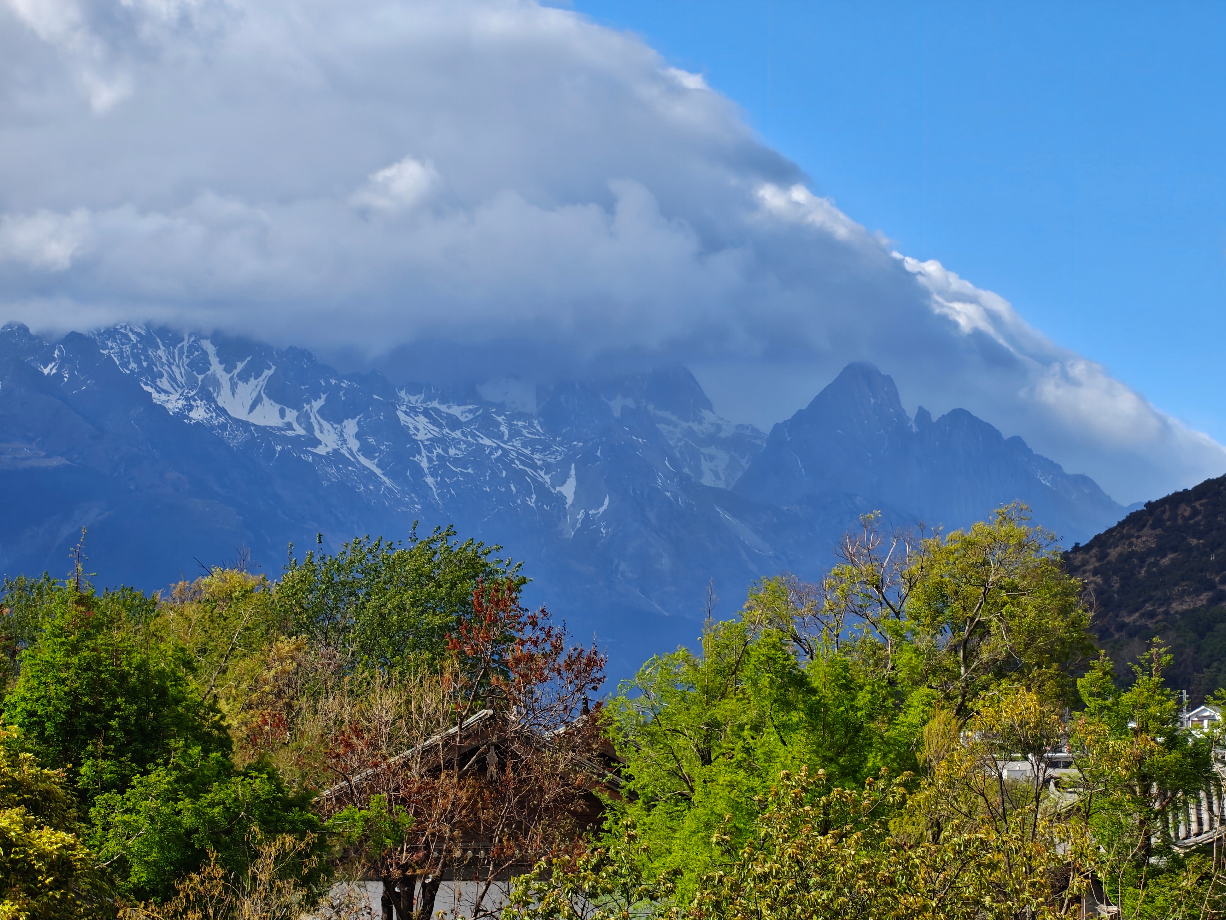 丽江这个地方，真是随手一拍就是风景 