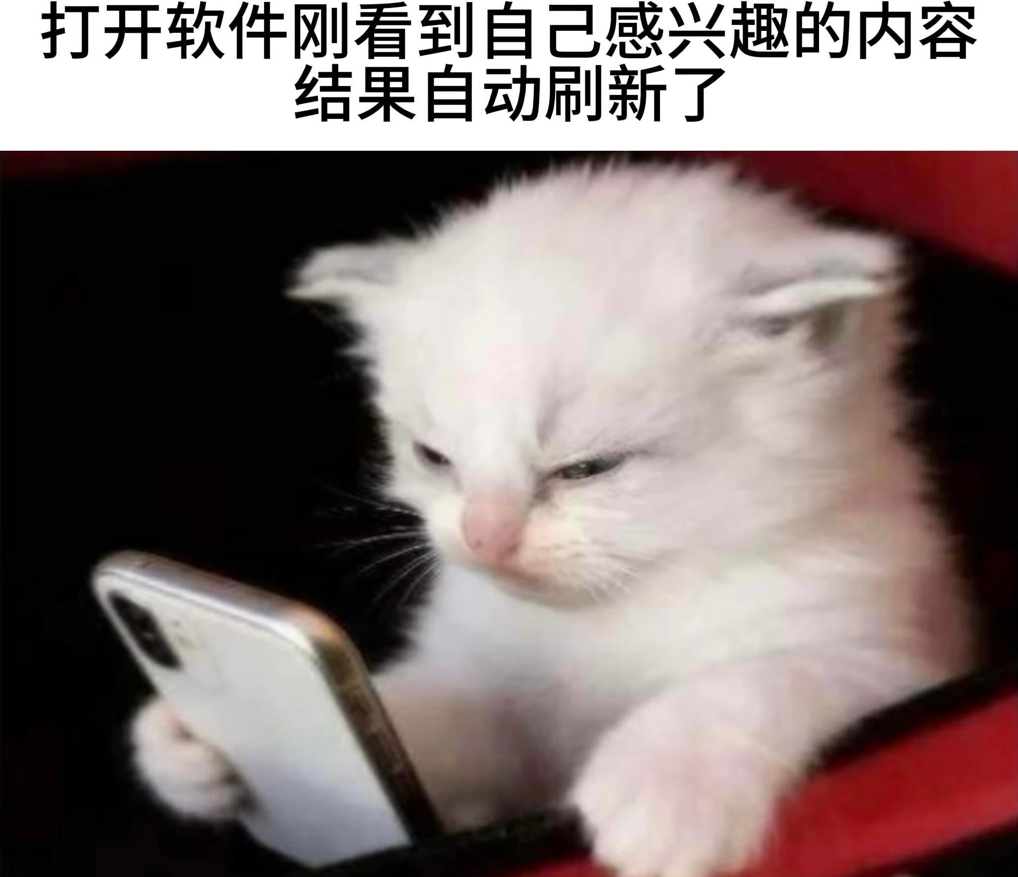  ​​​