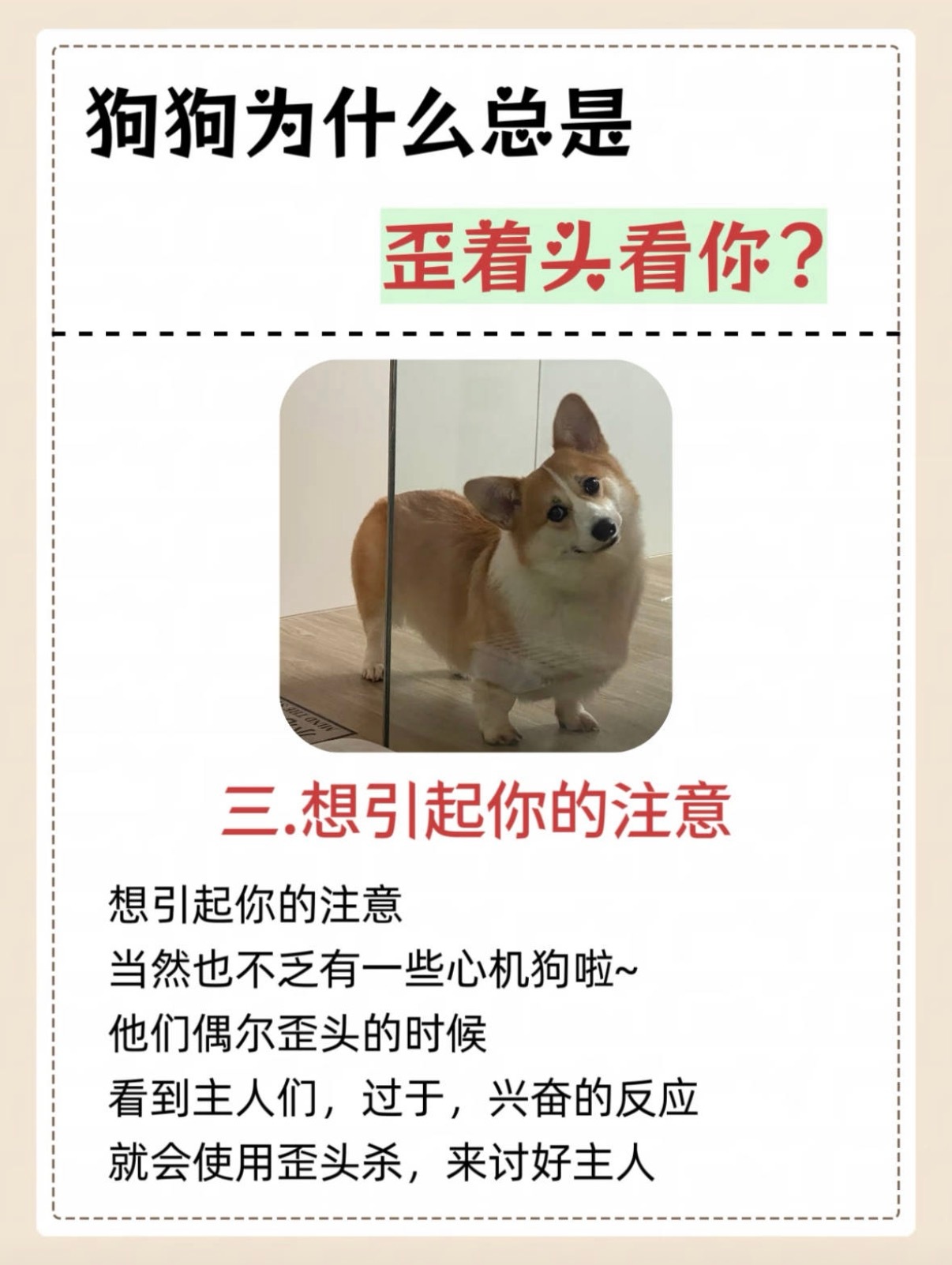 小狗为什么歪着头看你？ 