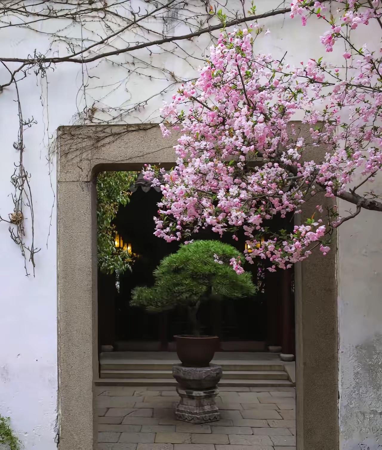 什么时候才能放松下来，悠闲安静，期待美好