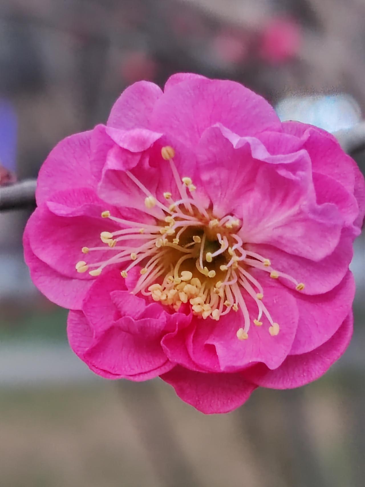 说实话不光是聚会，见面钱打底，只要你活着就是钱打底。吃穿用学住行医哪一样不是钱。