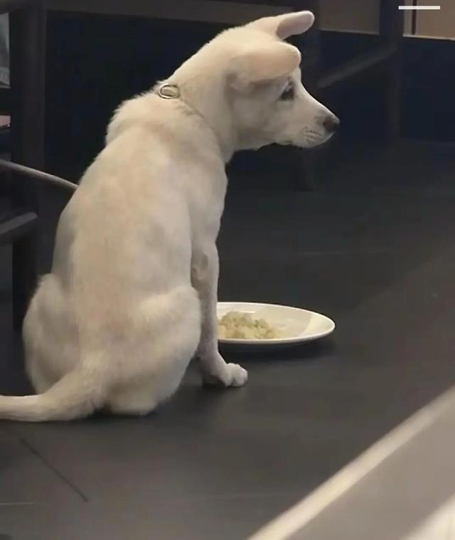 [小鼓掌][鼓掌][比心]硬气、给力！最近餐饮圈刷屏的一件事，让人看完直呼格局拉