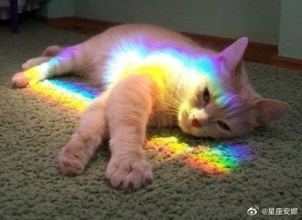 转走这只彩虹猫，好运扑面而来。 