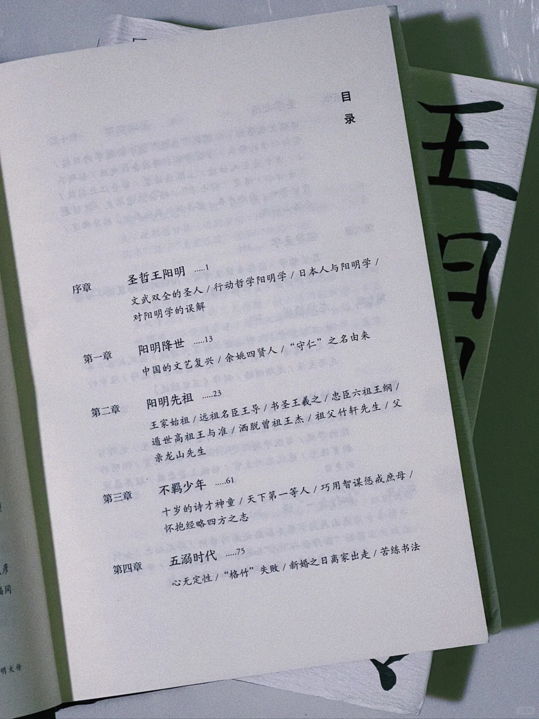 “王阳明，开启东方的文艺复兴”