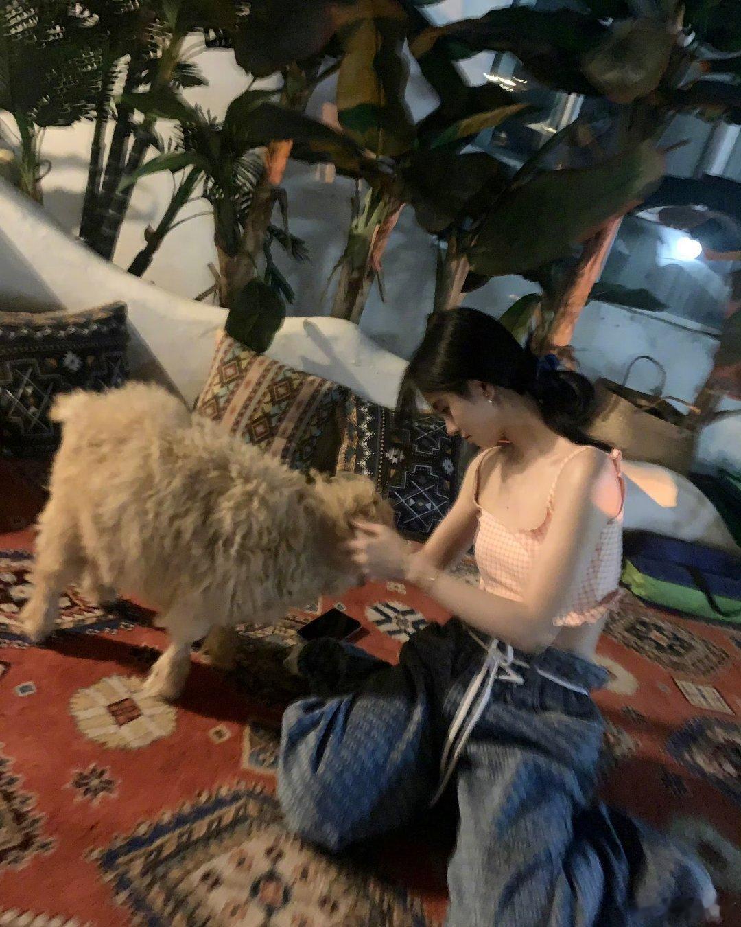 鞠婧祎 jjy鞠婧祎韩芸汐 jjy鞠婧祎芸汐传 jjy鞠婧祎苏绿夏 jjy鞠婧祎