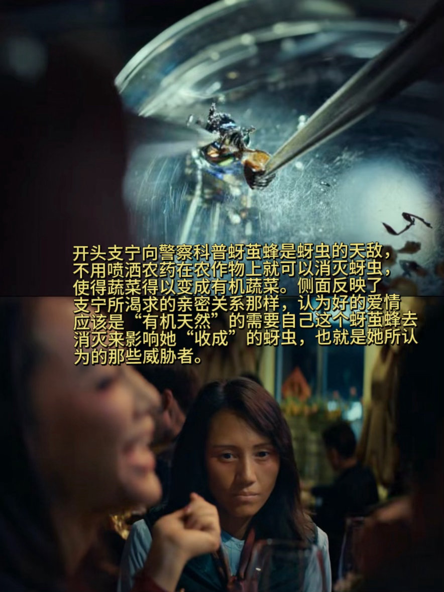 真正的老娘电影来了 阚天天那种“我必须是主角”的劲儿，澹台莺困在家庭里还觉得自己