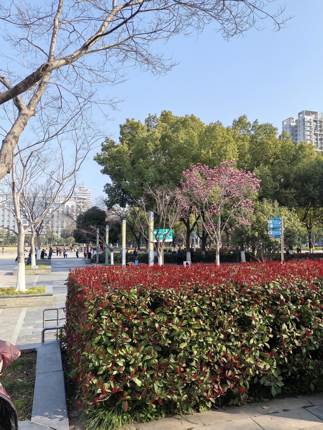 记录我的2026 2026年在武汉街头公园溜达，能感受到这座城市的变化。武汉内环