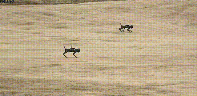 日本陆上自卫队演习，展示新装备的机器狗。