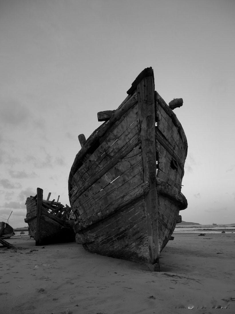 这生活虽说是狼狈，但只要父母双全，哪怕已然年迈，便算是岁月静好。
每天看他们或坐